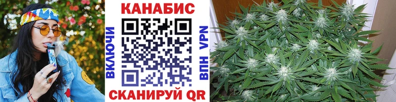 Купить закладки  Горняк  Каннабис Amnesia 
